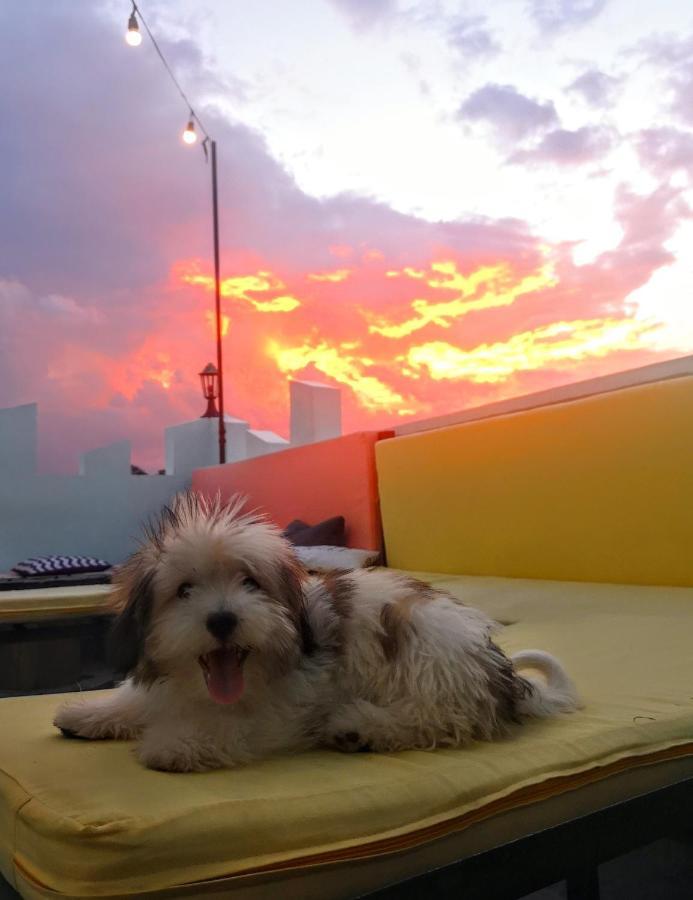 Antwet Backpacker's Inn&Rooftop Bar Dumaguete City Exterior foto