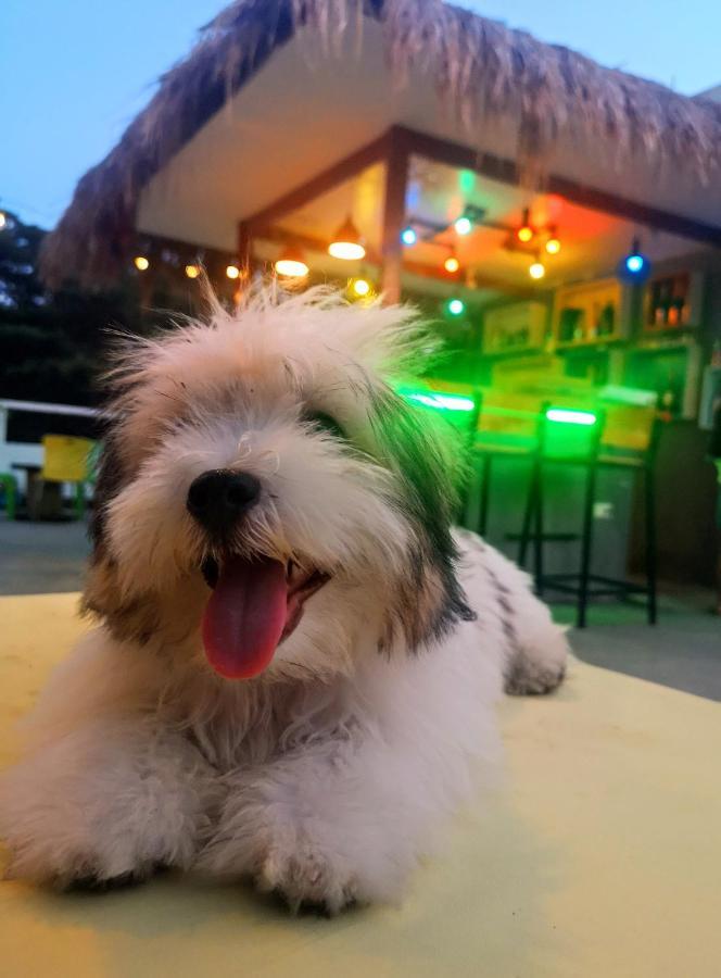 Antwet Backpacker's Inn&Rooftop Bar Dumaguete City Exterior foto